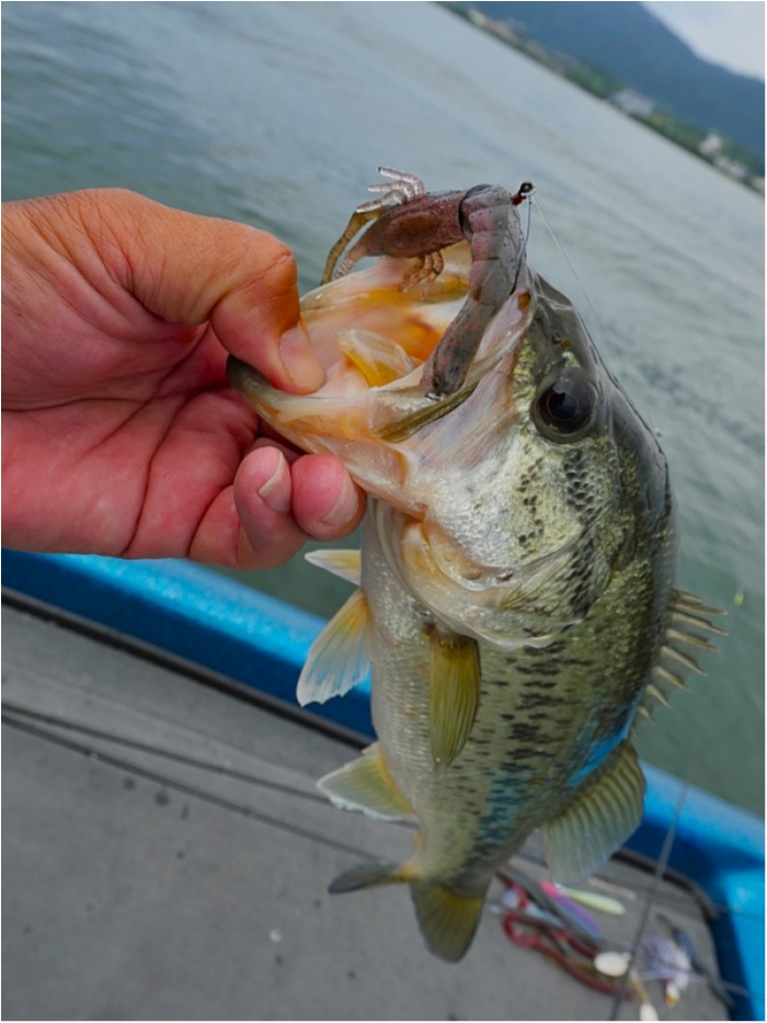 truth  ブログ写真 2018/06/14