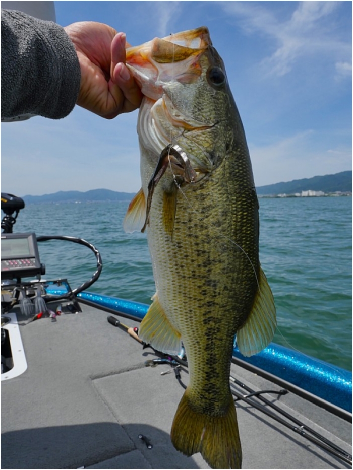 truth  ブログ写真 2018/06/14