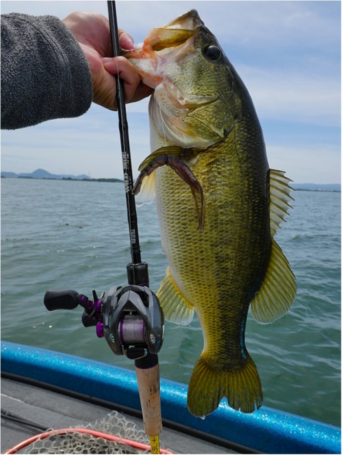 truth  ブログ写真 2018/06/14