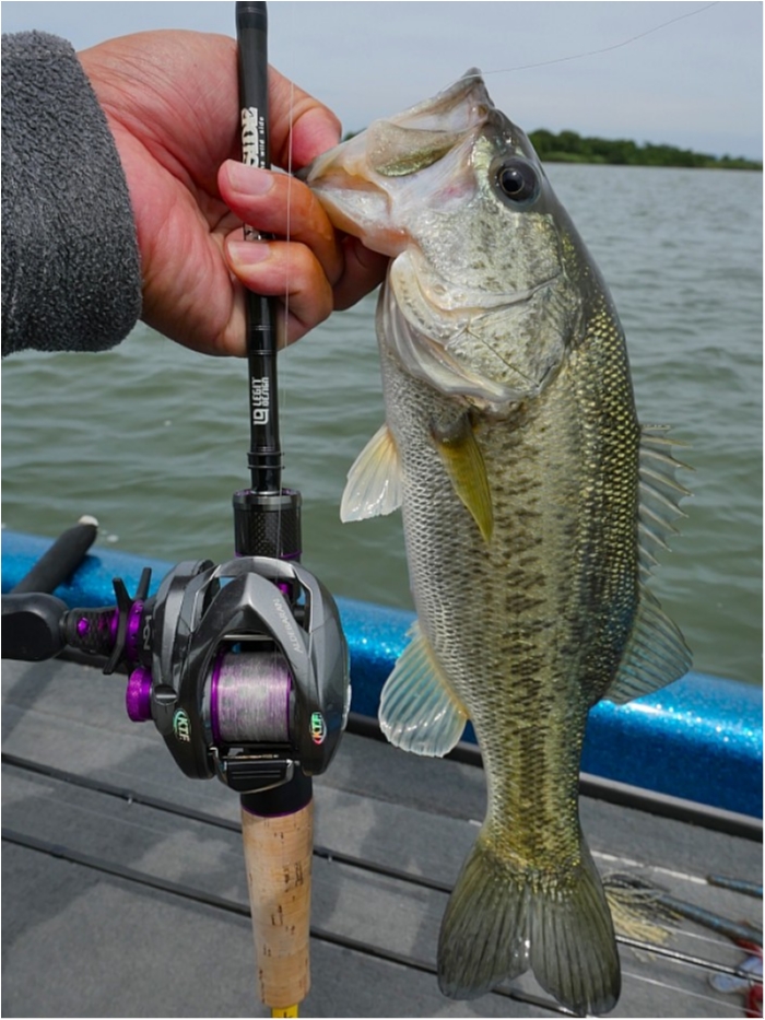 truth  ブログ写真 2018/06/14