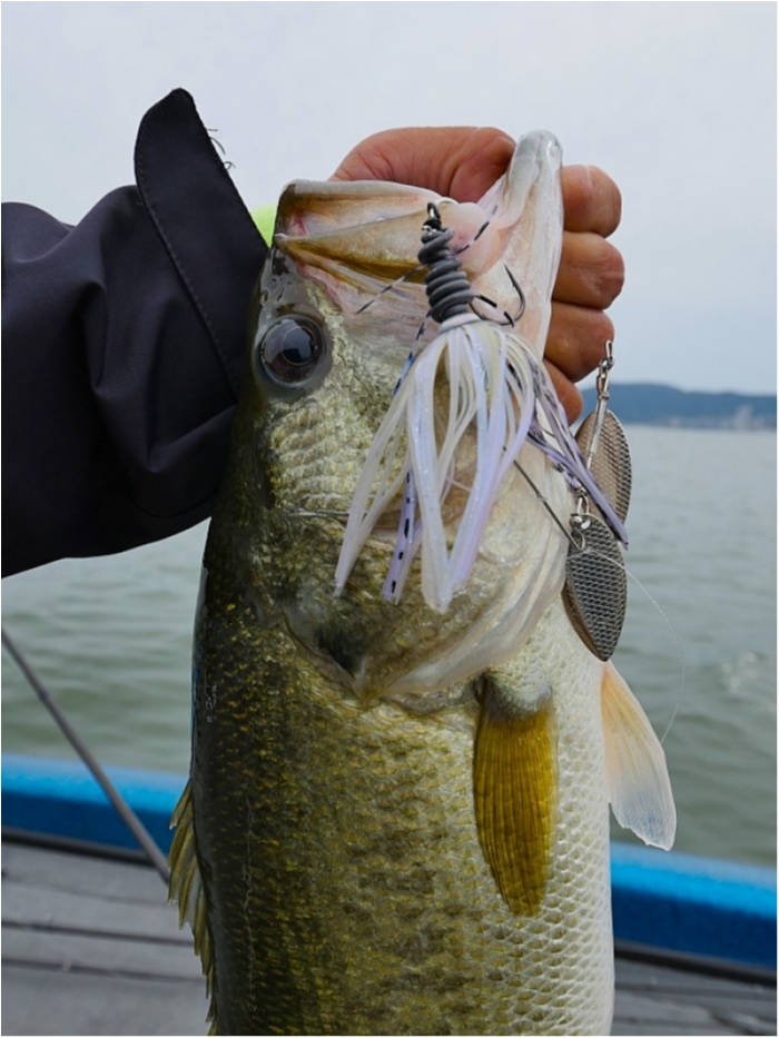 truth  ブログ写真 2018/06/14