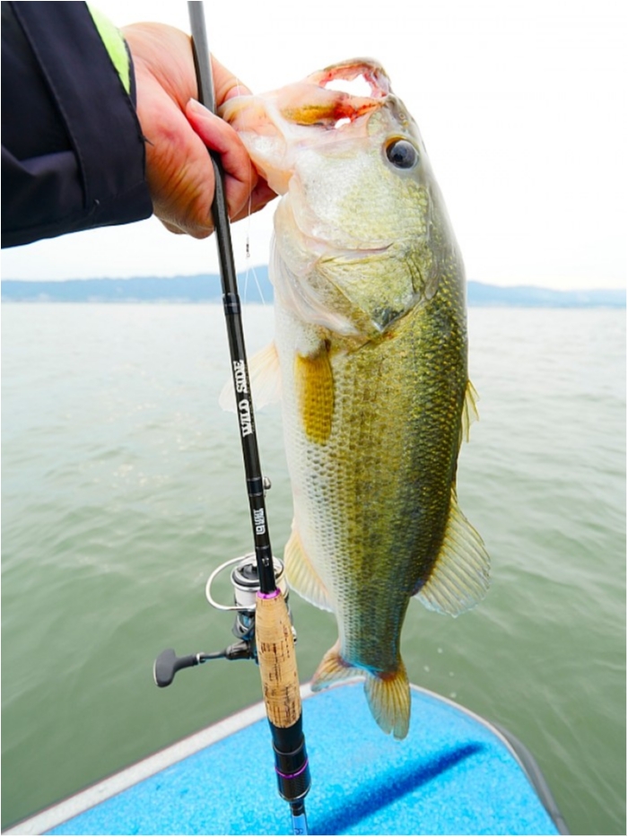 truth  ブログ写真 2018/06/14