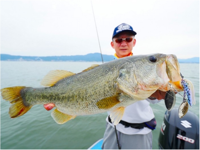 truth  ブログ写真 2018/06/14