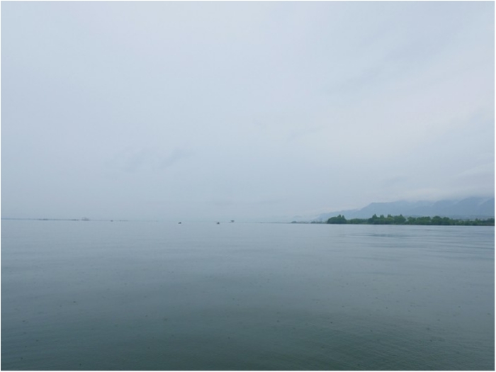 truth ブログ写真 2018/06/15