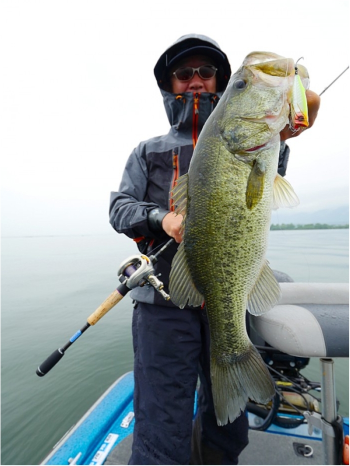 truth ブログ写真 2018/06/15