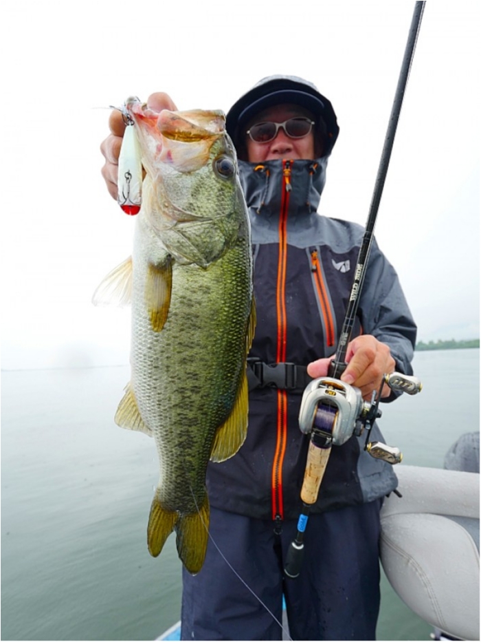 truth ブログ写真 2018/06/15