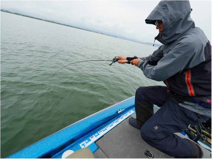 truth ブログ写真 2018/06/15