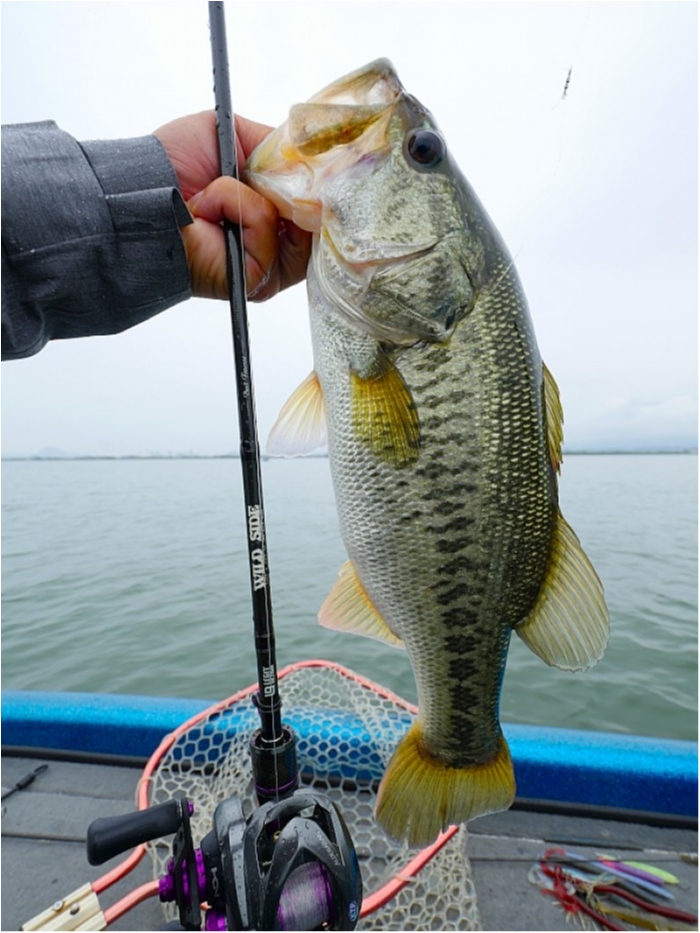 truth ブログ写真 2018/06/15