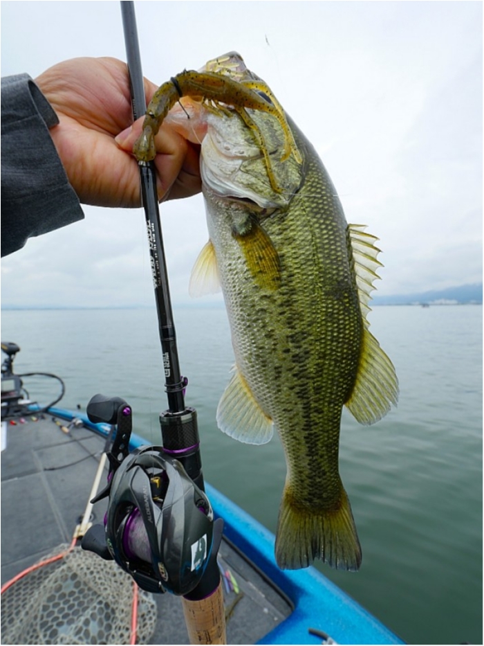 truth ブログ写真 2018/06/15