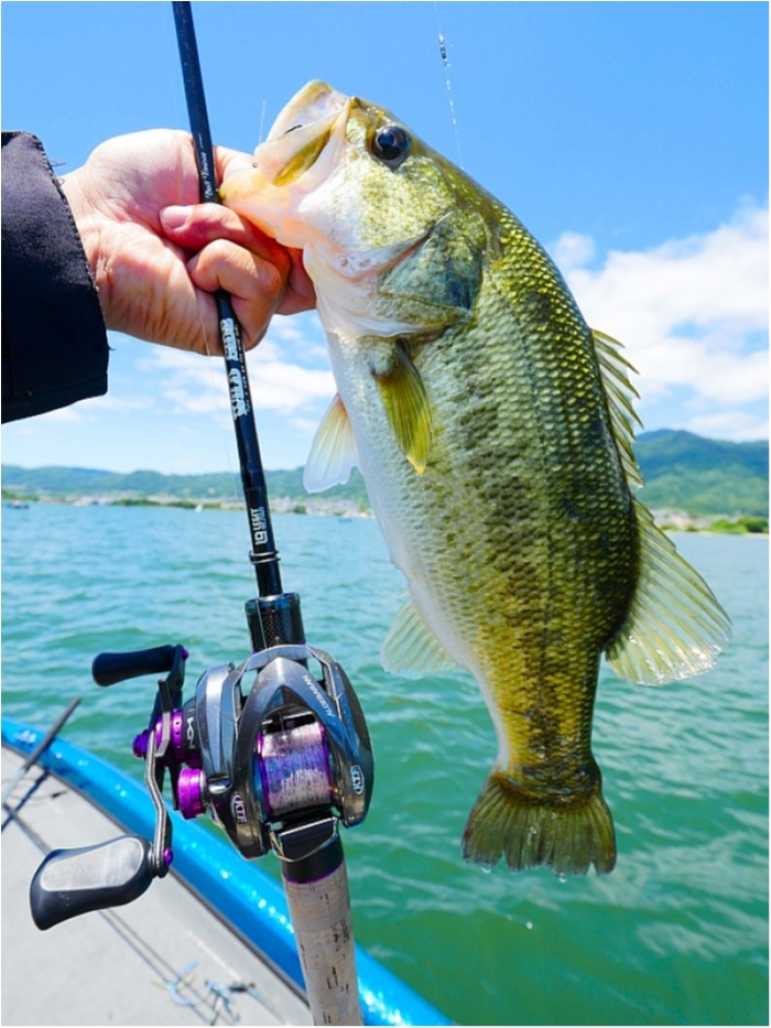 truth ブログ写真 2018/06/16