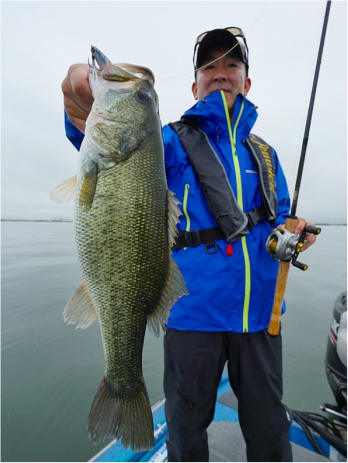 truth  ブログ写真 2018/06/20