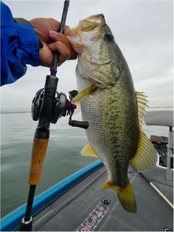 truth  ブログ写真 2018/06/20