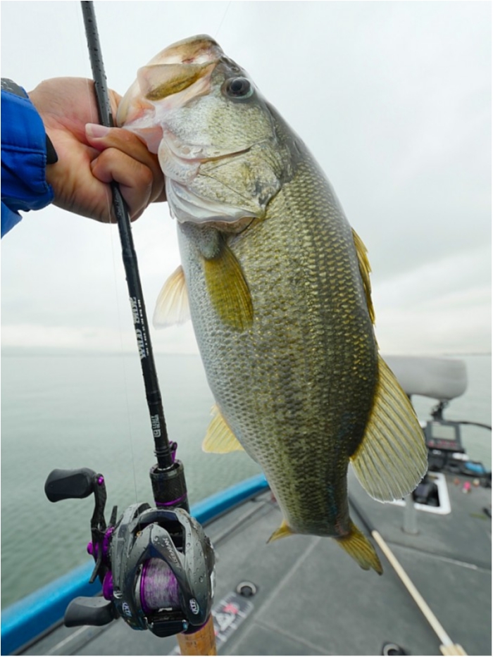 truth  ブログ写真 2018/06/20