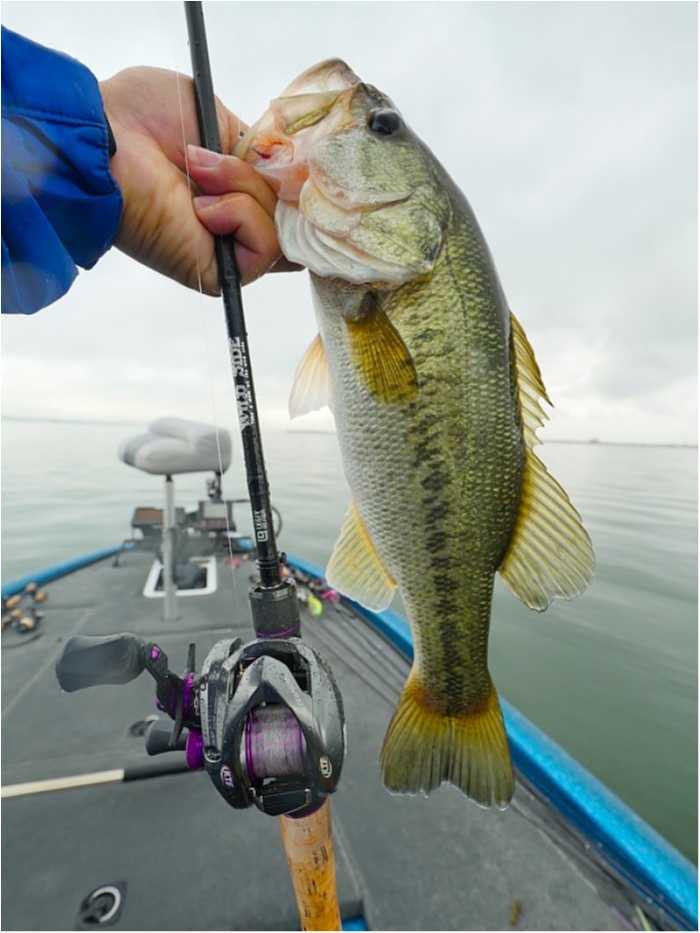 truth  ブログ写真 2018/06/20