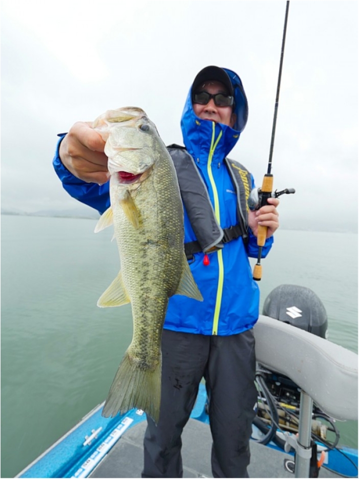 truth  ブログ写真 2018/06/20