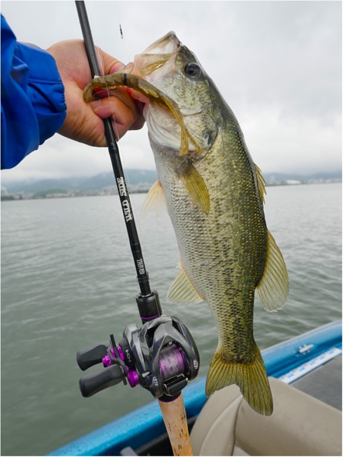 truth  ブログ写真 2018/06/20