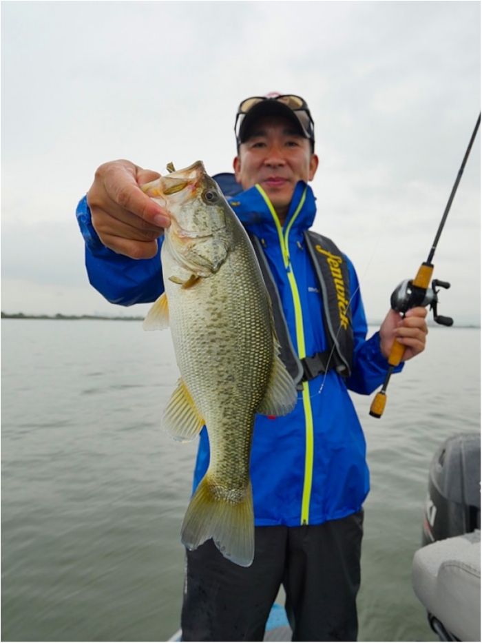 truth  ブログ写真 2018/06/20