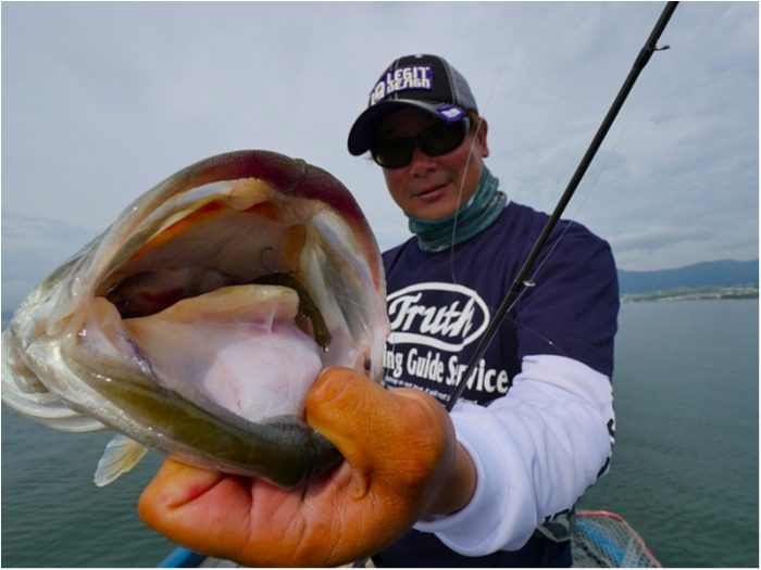 truth ブログ写真 2018/06/20