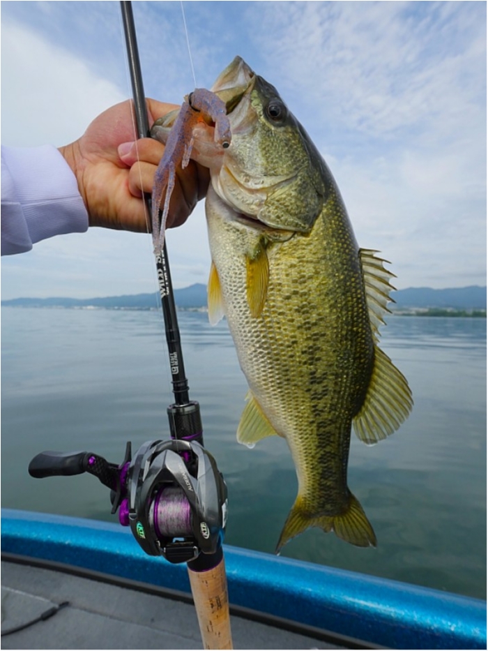 truth ブログ写真 2018/06/20