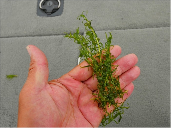 truth ブログ写真 2018/06/20