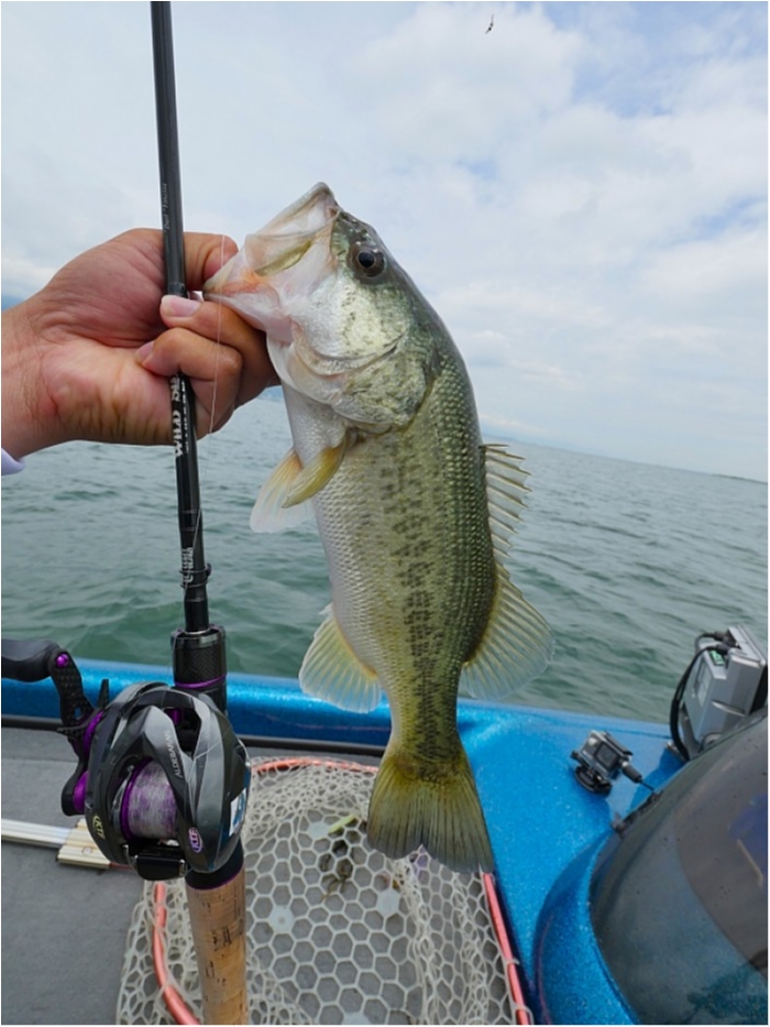 truth ブログ写真 2018/06/20