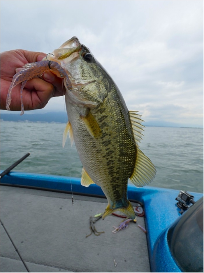 truth ブログ写真 2018/06/20