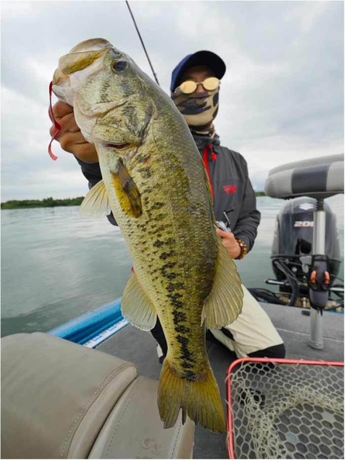 truth  ブログ写真 2018/06/21