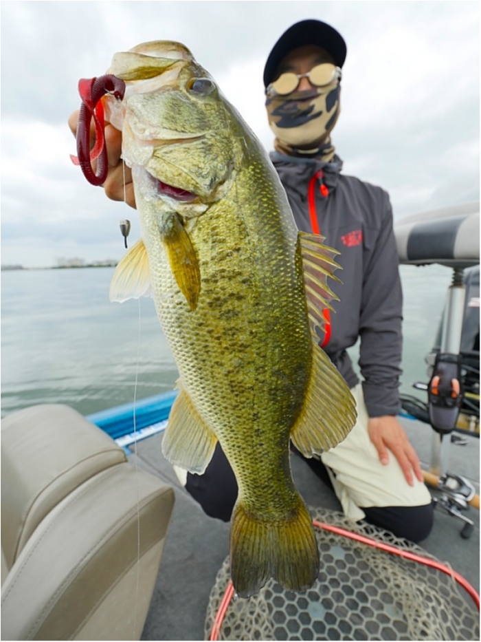 truth  ブログ写真 2018/06/21