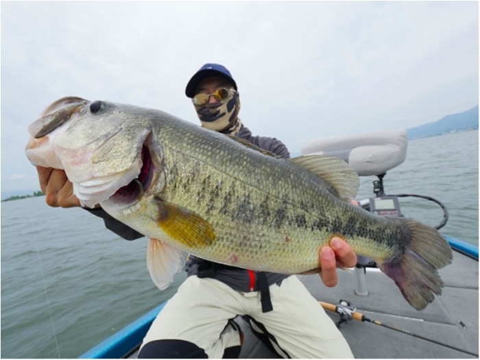 truth  ブログ写真 2018/06/21