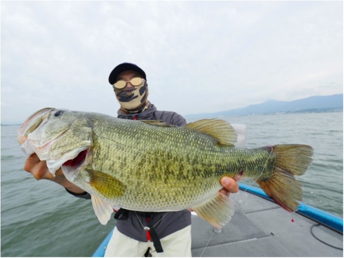 truth  ブログ写真 2018/06/21