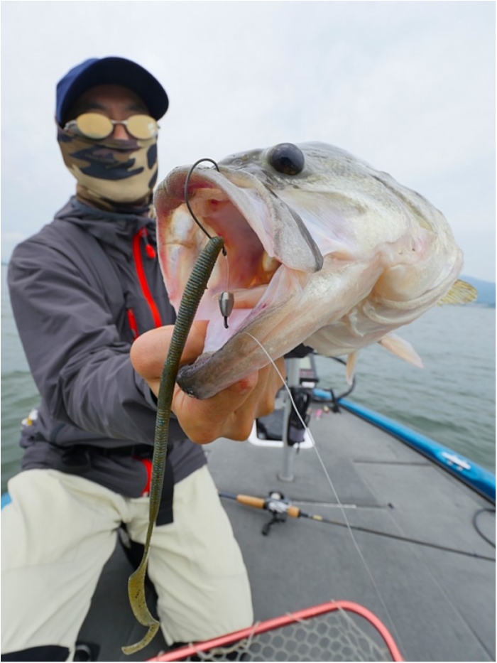 truth  ブログ写真 2018/06/21