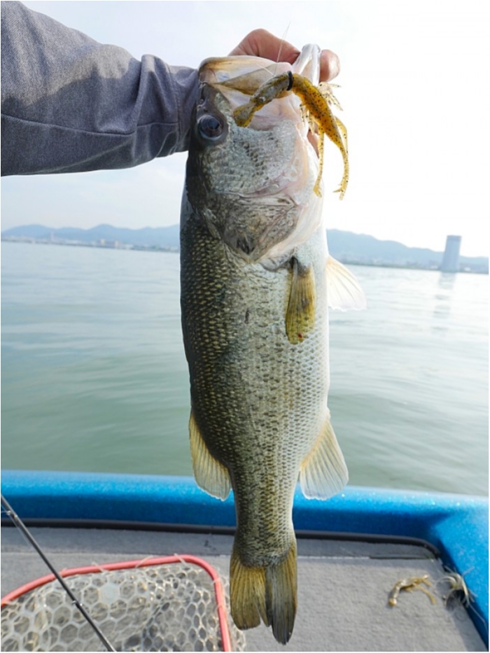 truth  ブログ写真 2018/06/21