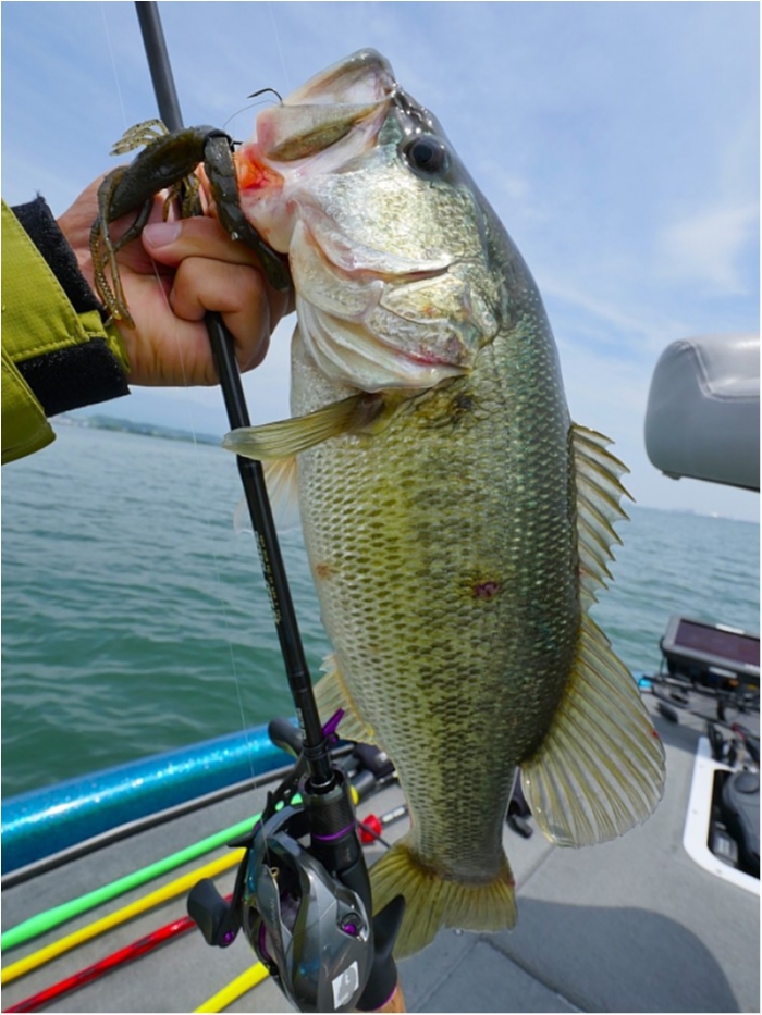 truth  ブログ写真 2018/06/23