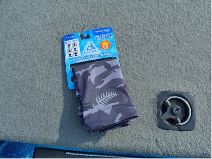 truth  ブログ写真 2018/06/23