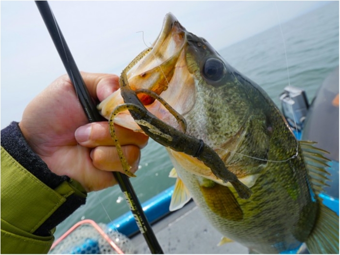 truth  ブログ写真 2018/06/23