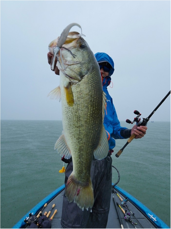 truth ブログ写真 2018/06/23