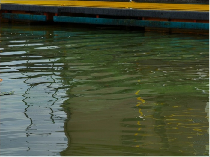 truth  ブログ写真 2018/07/03