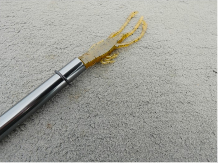 truth  ブログ写真 2018/07/03