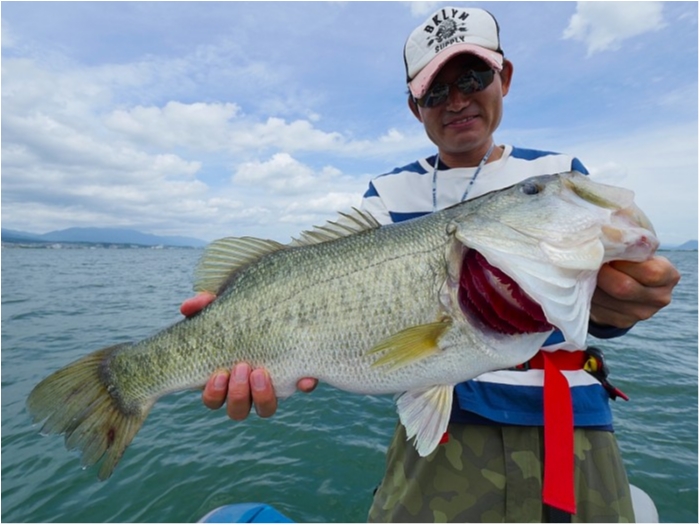 truth  ブログ写真 2018/07/03