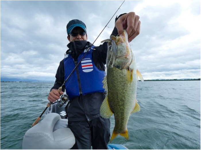 truth  ブログ写真 2018/07/04