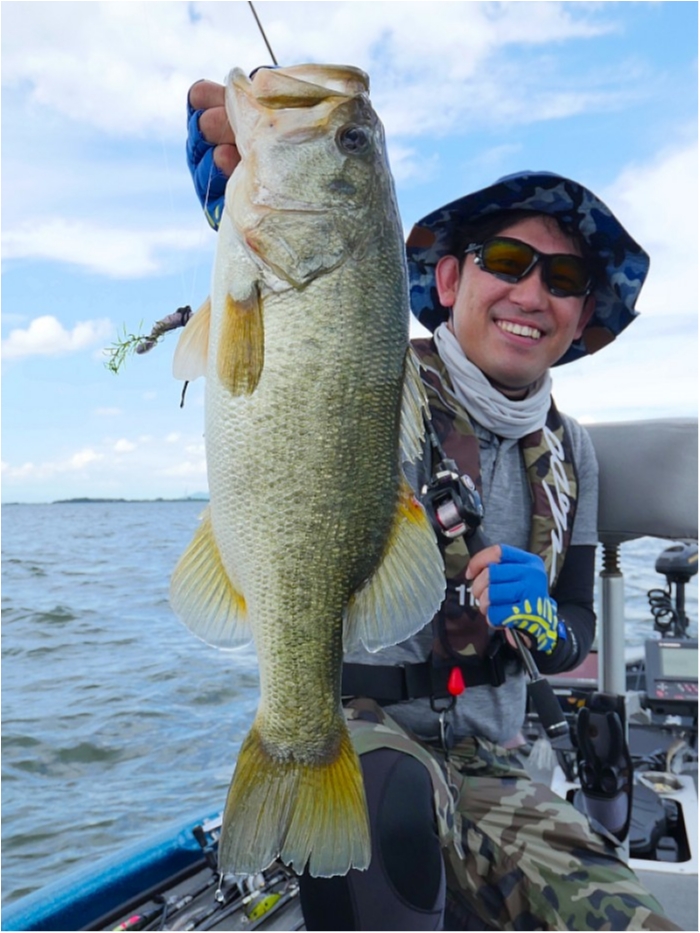 truth  ブログ写真 2018/07/09