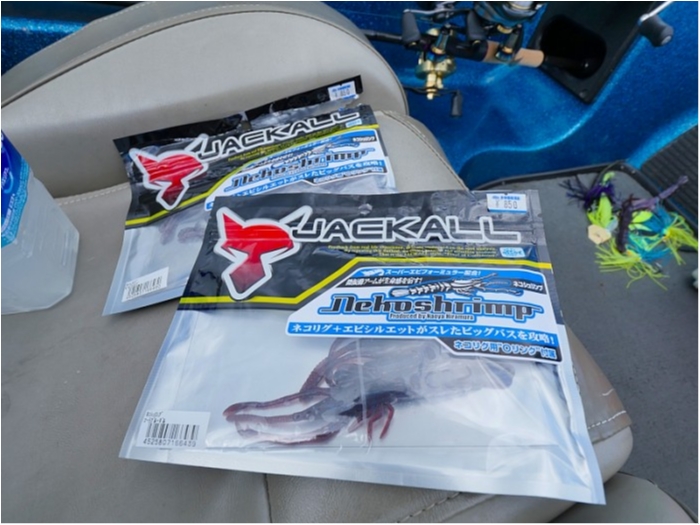 truth  ブログ写真 2018/07/09