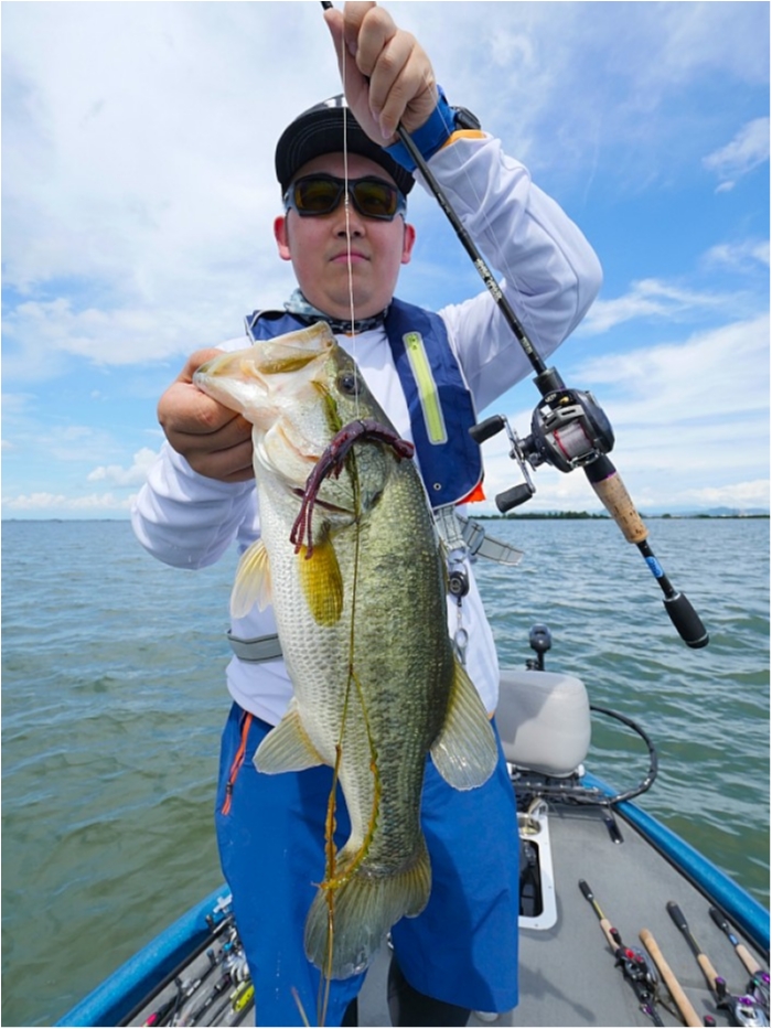 truth  ブログ写真 2018/07/09