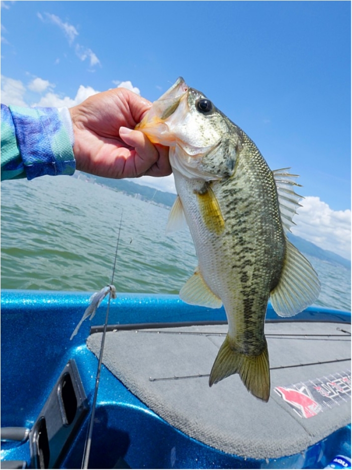 truth  ブログ写真 2018/07/10