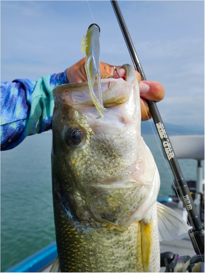 truth  ブログ写真 2018/07/12