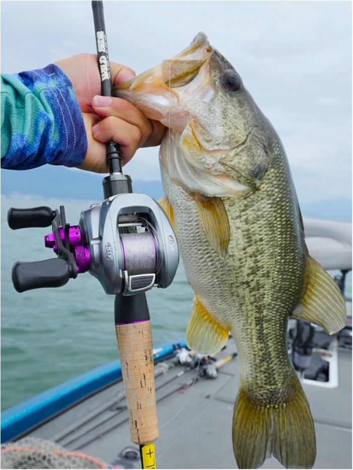 truth  ブログ写真 2018/07/12