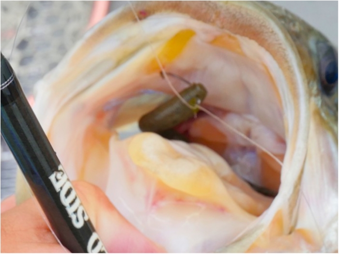 truth  ブログ写真 2018/07/12