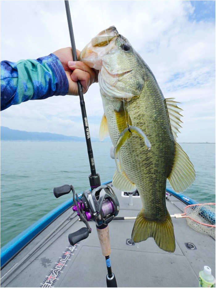 truth  ブログ写真 2018/07/12