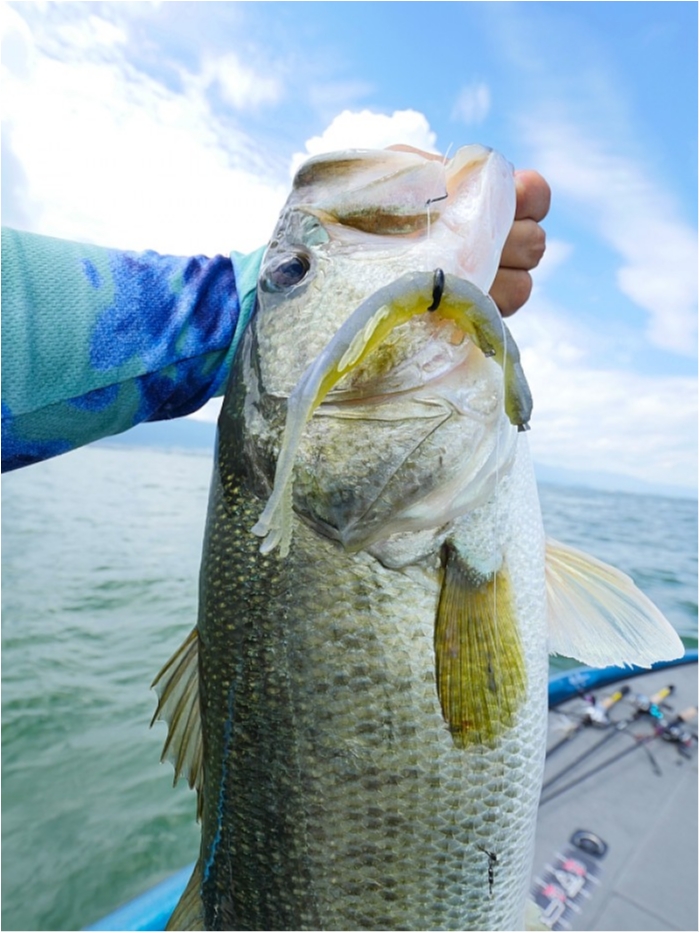 truth  ブログ写真 2018/07/12