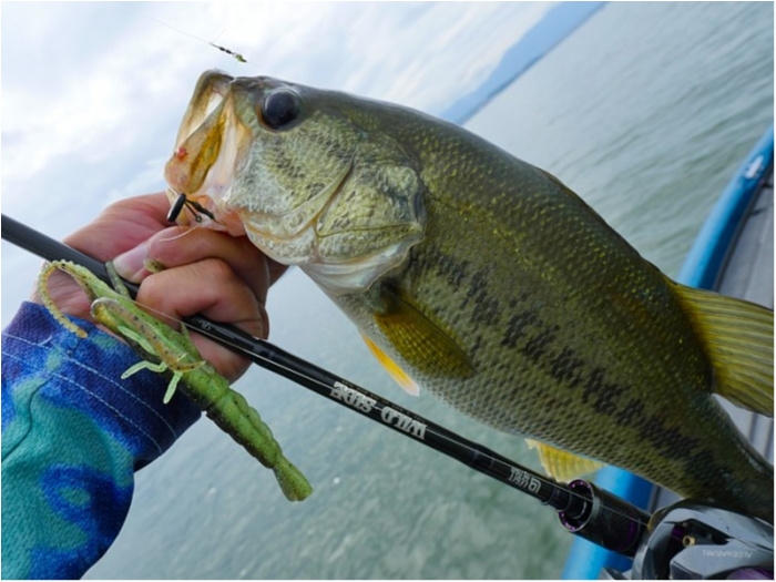 truth  ブログ写真 2018/07/12